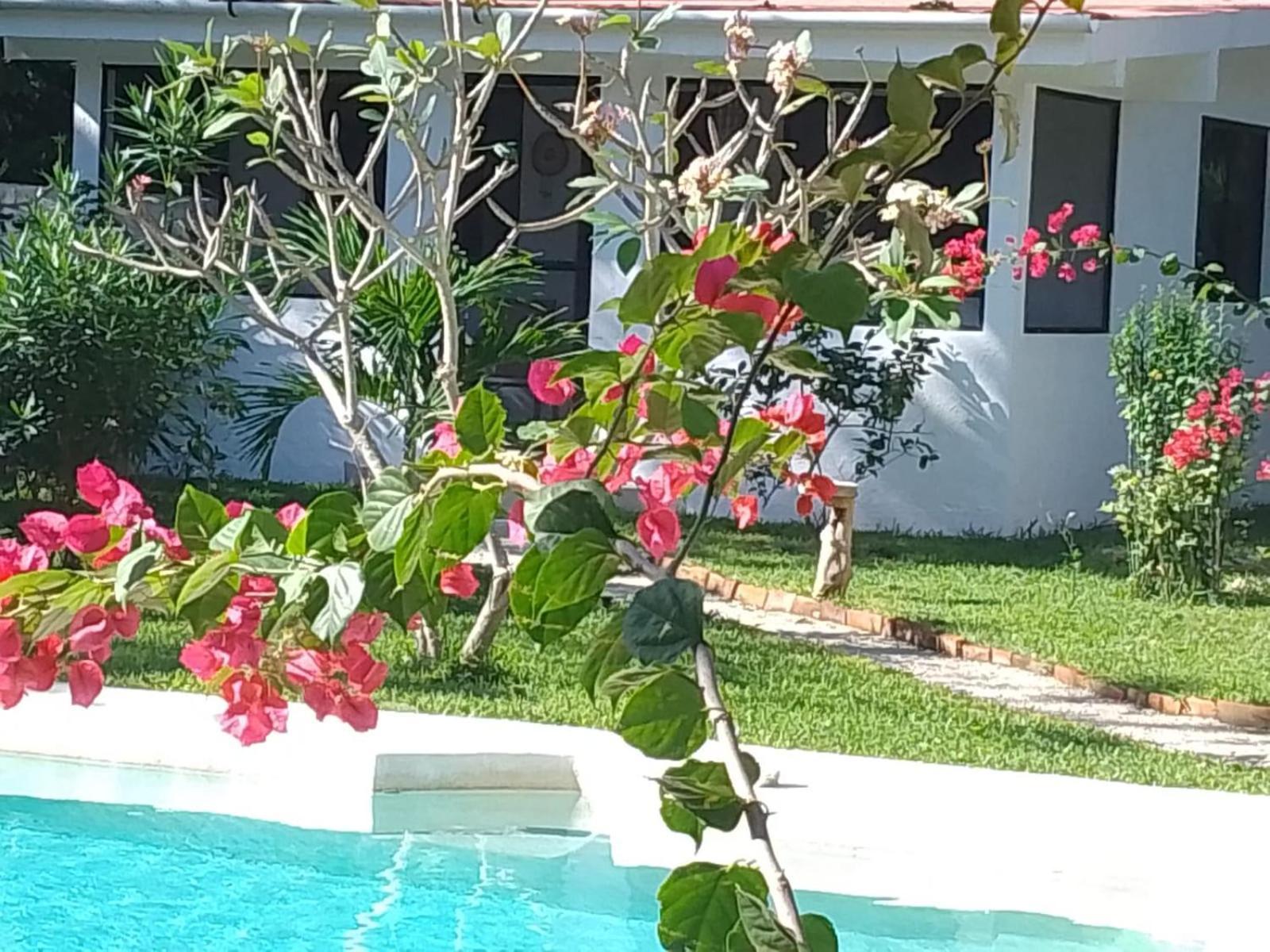 Kerubin Dorado Aparthotel Akumal Ngoại thất bức ảnh