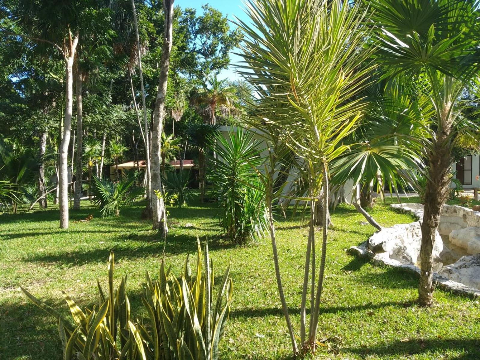 Kerubin Dorado Aparthotel Akumal Ngoại thất bức ảnh