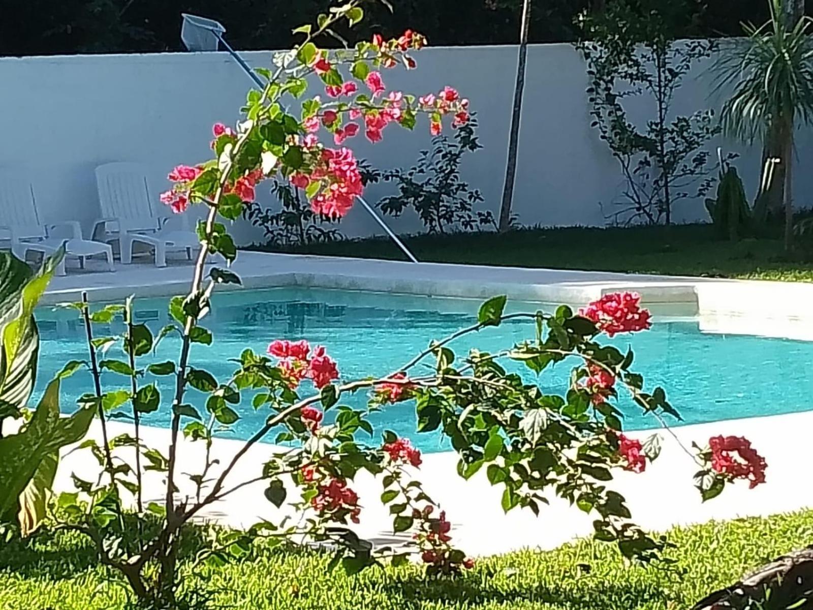 Kerubin Dorado Aparthotel Akumal Ngoại thất bức ảnh